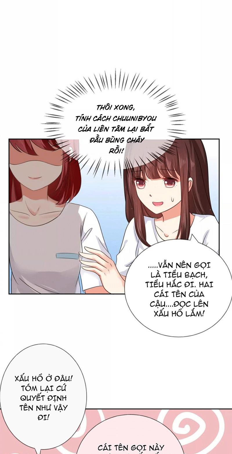 Bạn Cùng Bàn Của Tôi Nổi Tiếng Là Mèo Chapter 4 - Trang 2