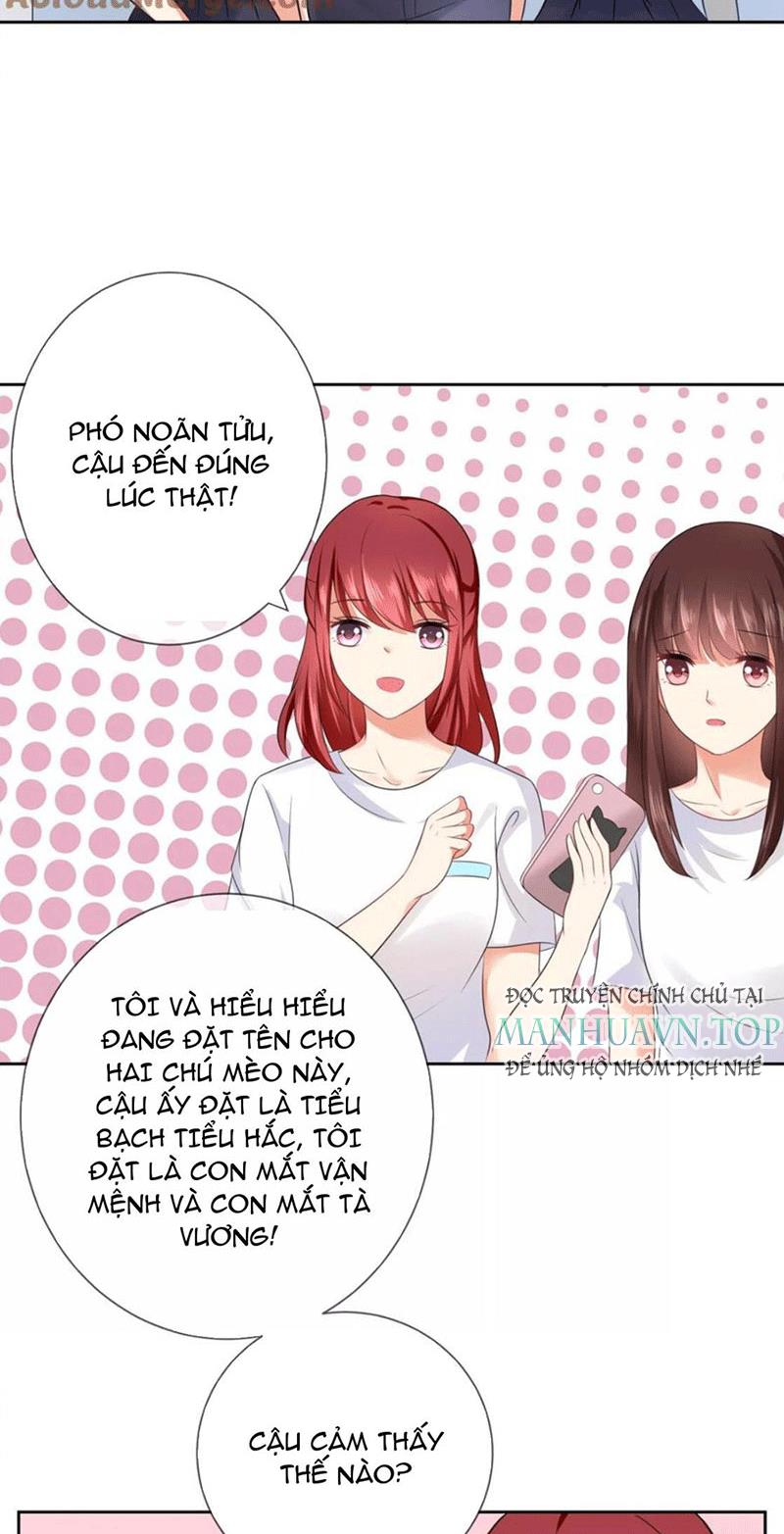 Bạn Cùng Bàn Của Tôi Nổi Tiếng Là Mèo Chapter 4 - Trang 2