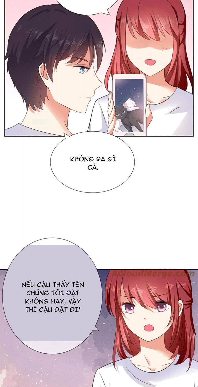 Bạn Cùng Bàn Của Tôi Nổi Tiếng Là Mèo Chapter 4 - Trang 2