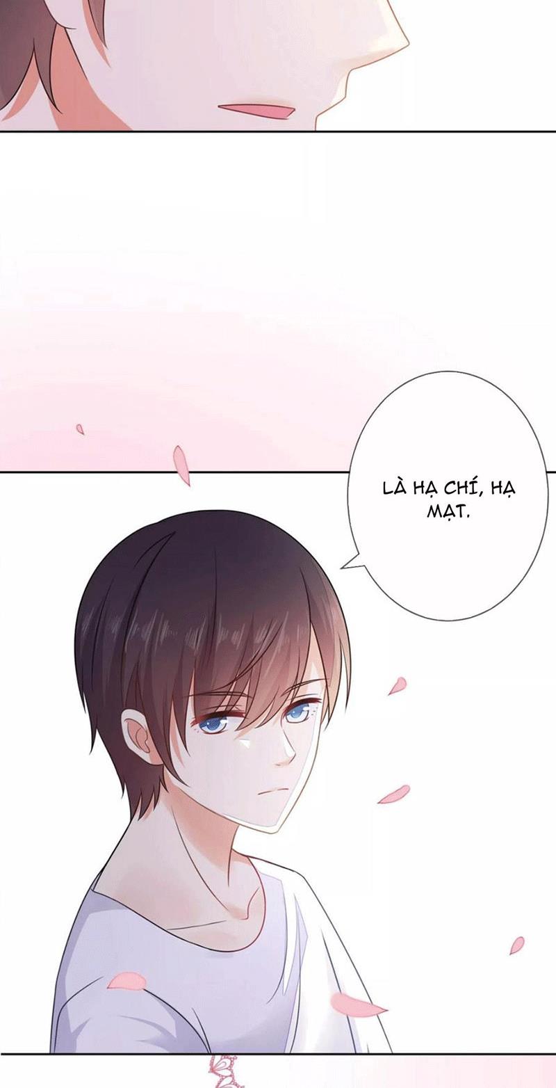 Bạn Cùng Bàn Của Tôi Nổi Tiếng Là Mèo Chapter 4 - Trang 2