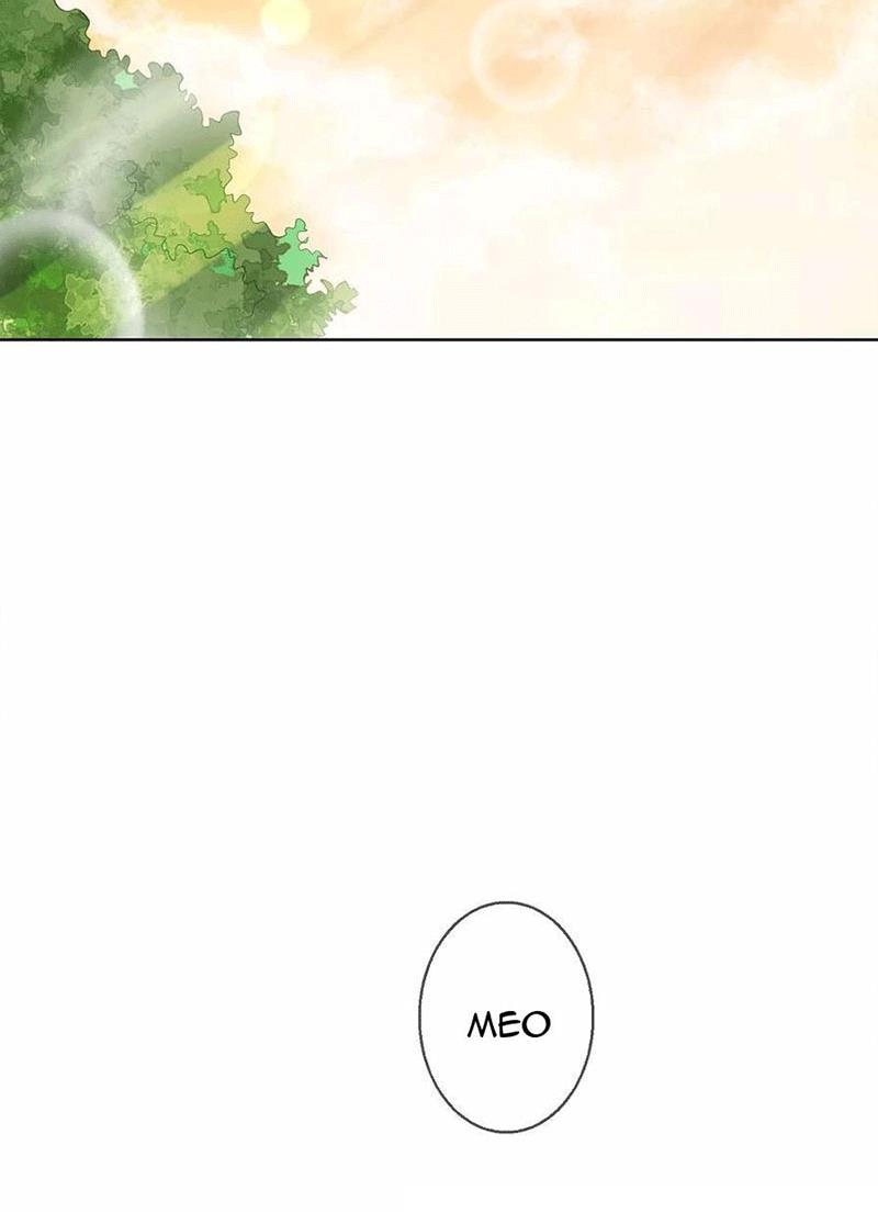Bạn Cùng Bàn Của Tôi Nổi Tiếng Là Mèo Chapter 5 - Trang 2