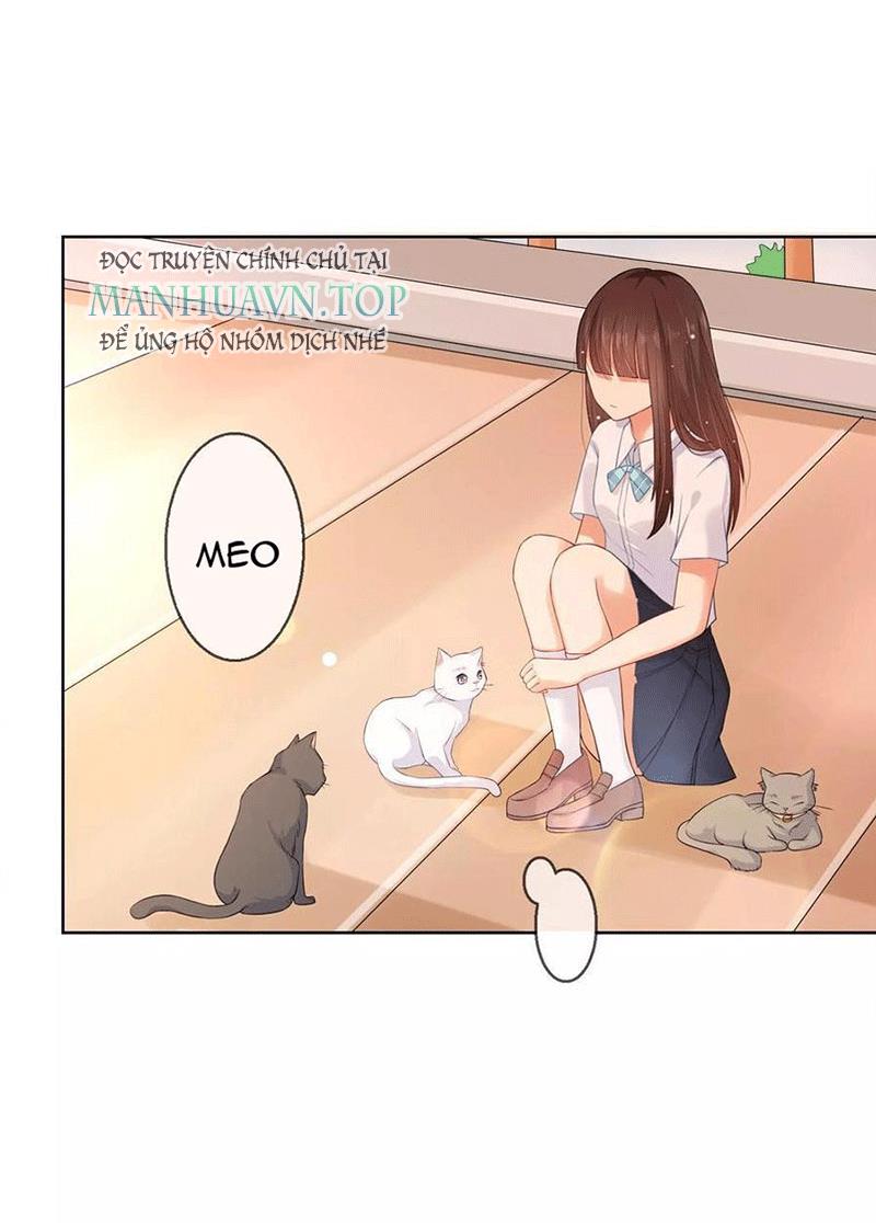 Bạn Cùng Bàn Của Tôi Nổi Tiếng Là Mèo Chapter 5 - Trang 2