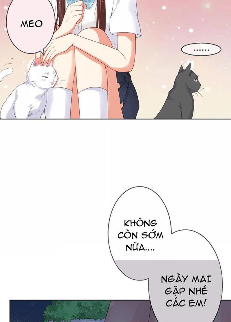 Bạn Cùng Bàn Của Tôi Nổi Tiếng Là Mèo Chapter 5 - Trang 2