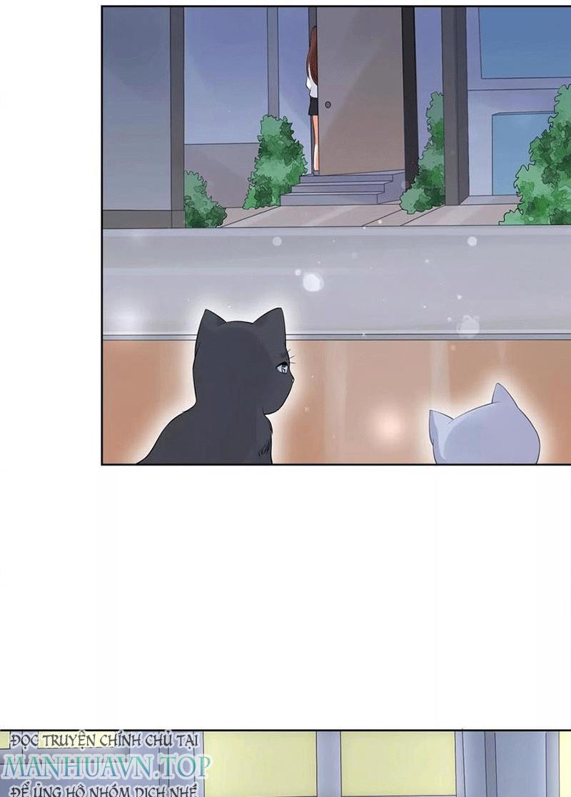 Bạn Cùng Bàn Của Tôi Nổi Tiếng Là Mèo Chapter 5 - Trang 2
