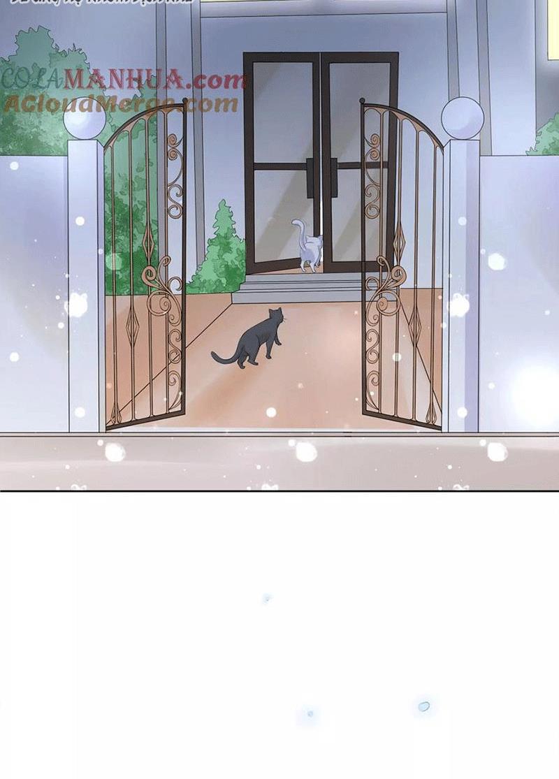 Bạn Cùng Bàn Của Tôi Nổi Tiếng Là Mèo Chapter 5 - Trang 2