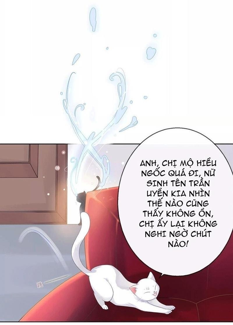 Bạn Cùng Bàn Của Tôi Nổi Tiếng Là Mèo Chapter 5 - Trang 2