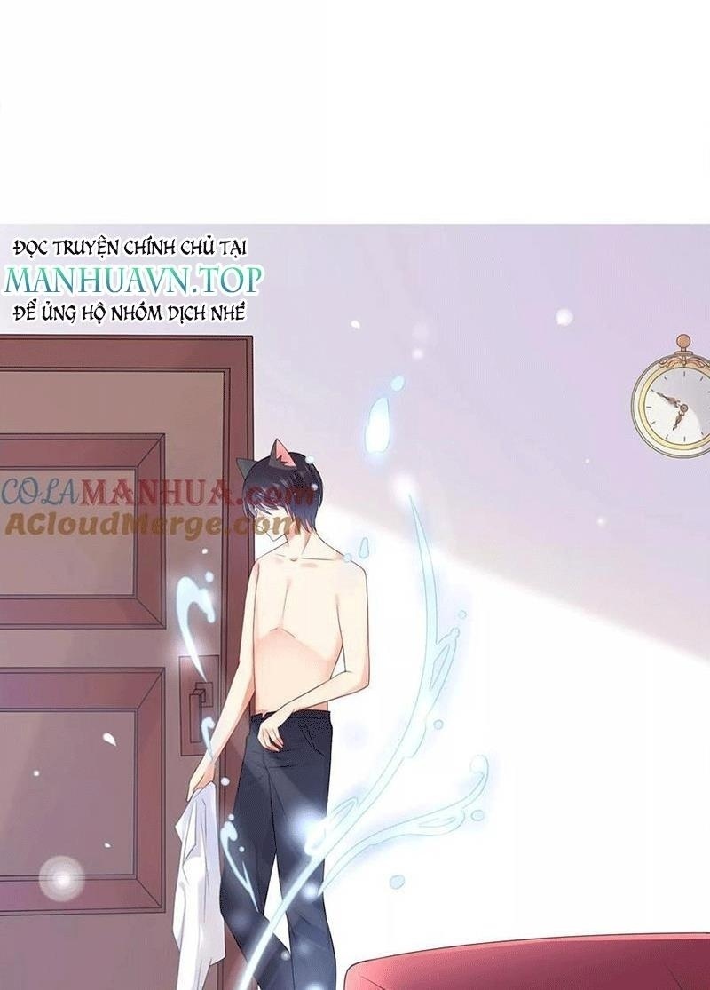 Bạn Cùng Bàn Của Tôi Nổi Tiếng Là Mèo Chapter 5 - Trang 2