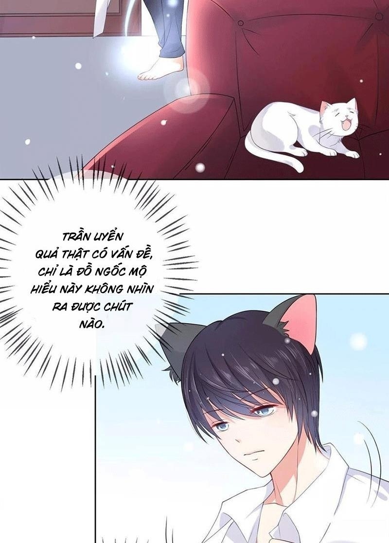 Bạn Cùng Bàn Của Tôi Nổi Tiếng Là Mèo Chapter 5 - Trang 2