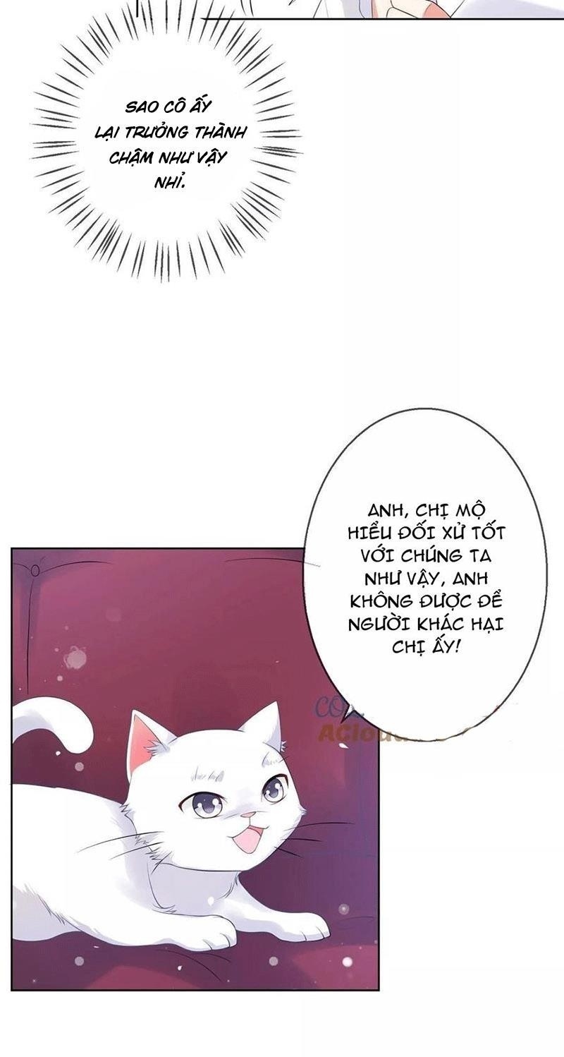 Bạn Cùng Bàn Của Tôi Nổi Tiếng Là Mèo Chapter 5 - Trang 2