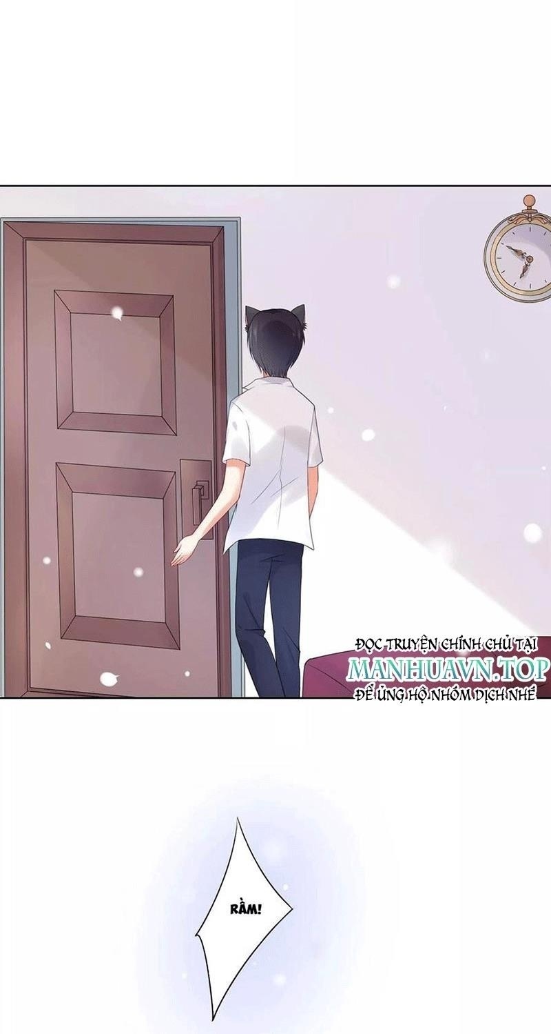 Bạn Cùng Bàn Của Tôi Nổi Tiếng Là Mèo Chapter 5 - Trang 2