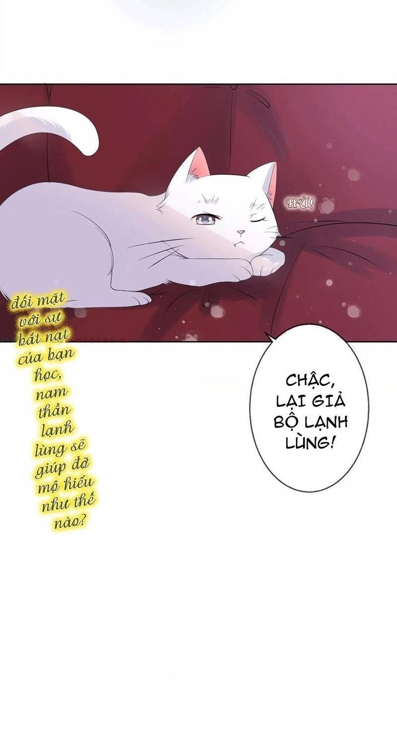 Bạn Cùng Bàn Của Tôi Nổi Tiếng Là Mèo Chapter 5 - Trang 2