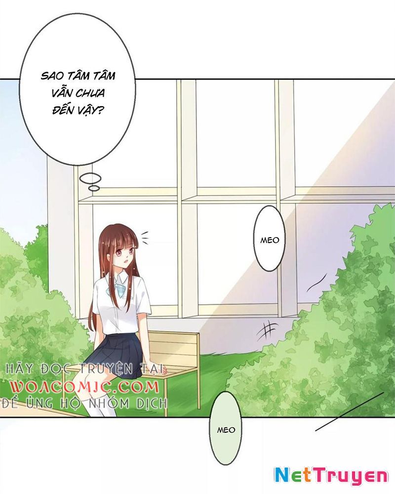 Bạn Cùng Bàn Của Tôi Nổi Tiếng Là Mèo Chapter 6 - Trang 2