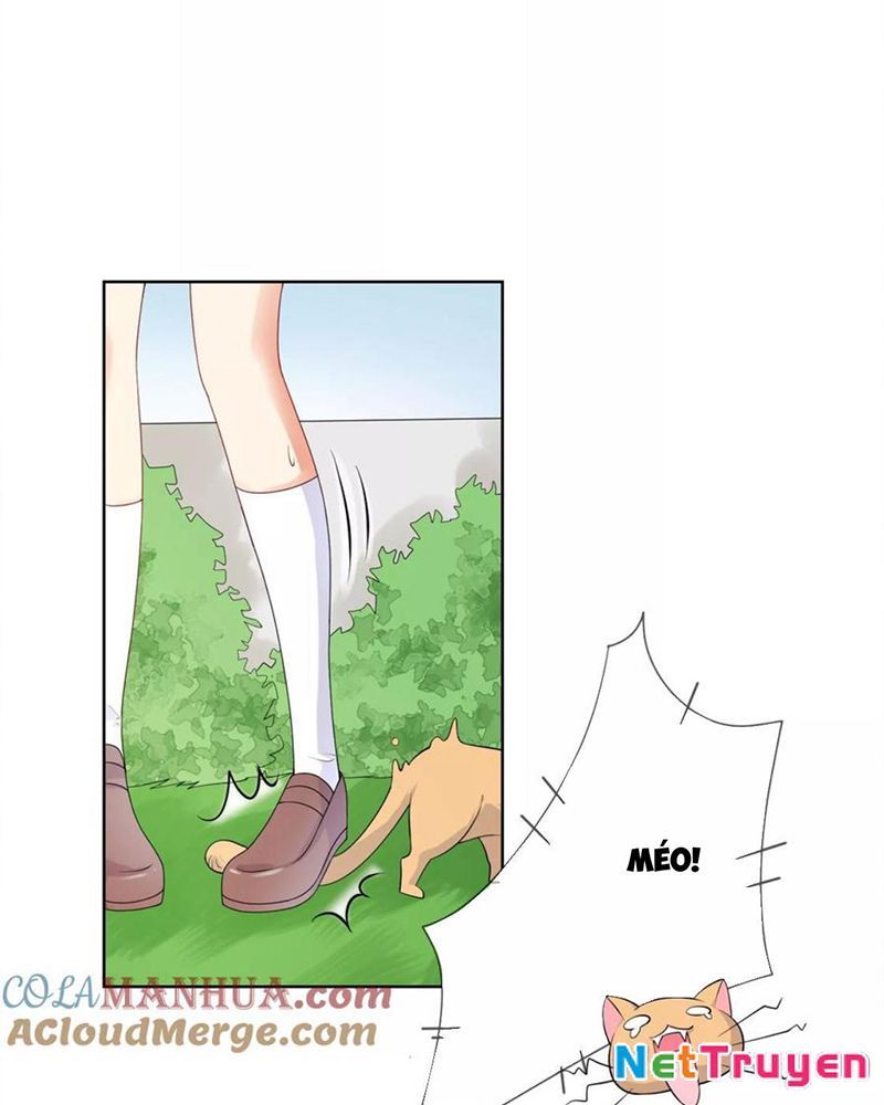 Bạn Cùng Bàn Của Tôi Nổi Tiếng Là Mèo Chapter 6 - Trang 2
