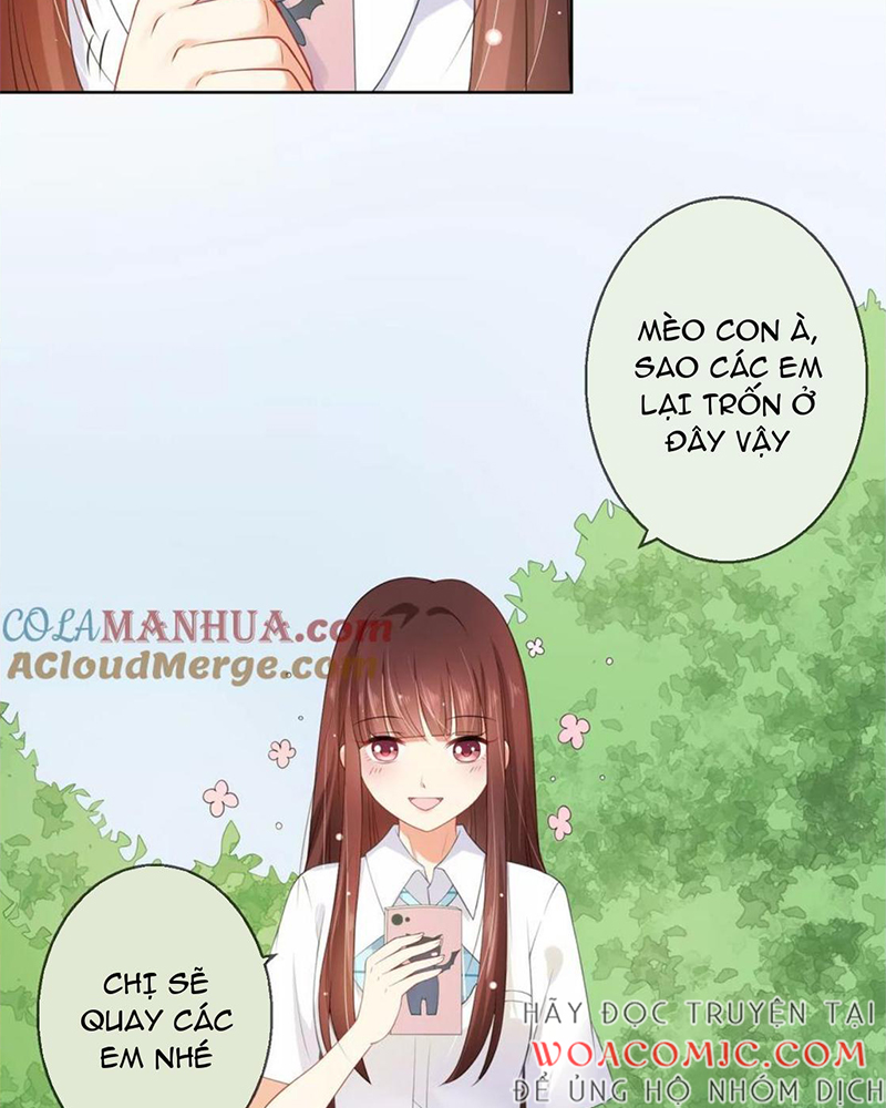Bạn Cùng Bàn Của Tôi Nổi Tiếng Là Mèo Chapter 6 - Trang 2