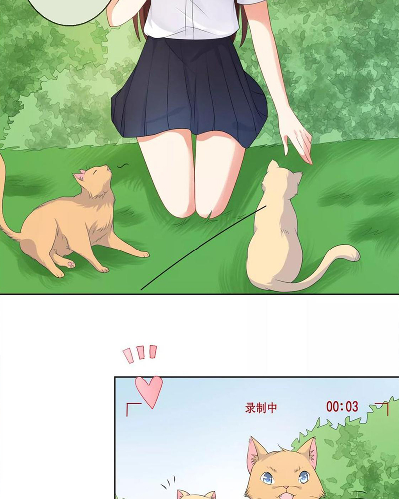 Bạn Cùng Bàn Của Tôi Nổi Tiếng Là Mèo Chapter 6 - Trang 2