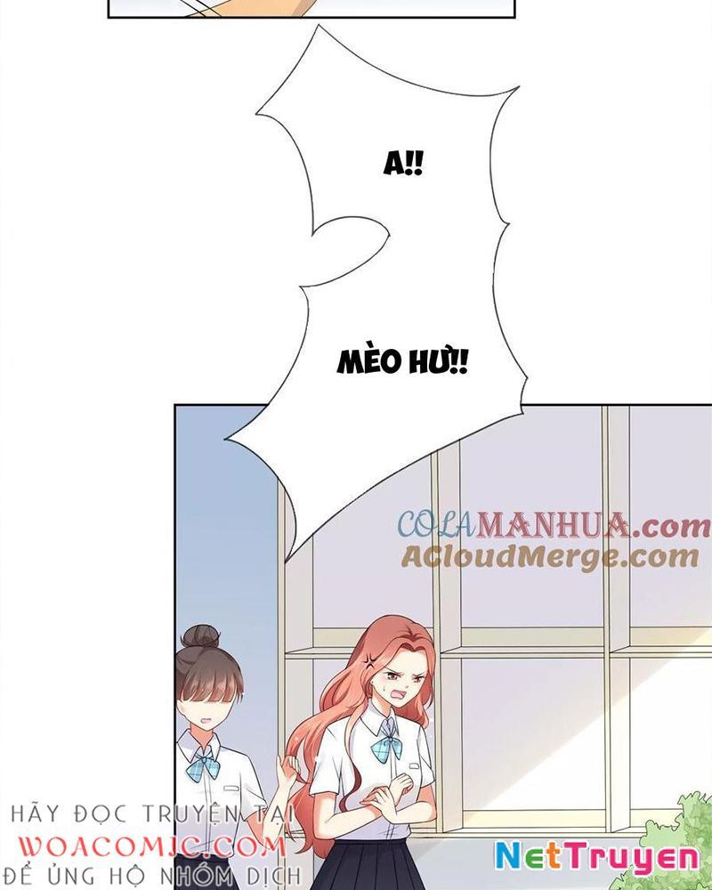 Bạn Cùng Bàn Của Tôi Nổi Tiếng Là Mèo Chapter 7 - Trang 2