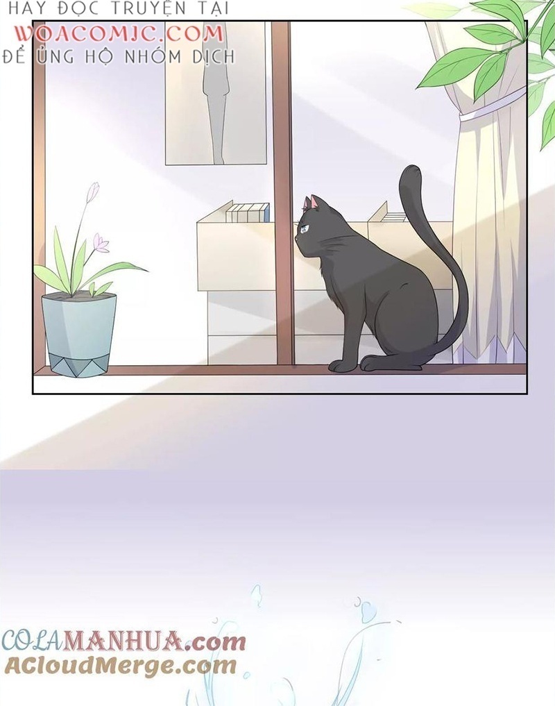 Bạn Cùng Bàn Của Tôi Nổi Tiếng Là Mèo Chapter 7 - Trang 2