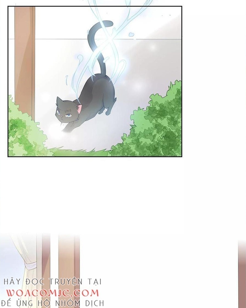 Bạn Cùng Bàn Của Tôi Nổi Tiếng Là Mèo Chapter 7 - Trang 2