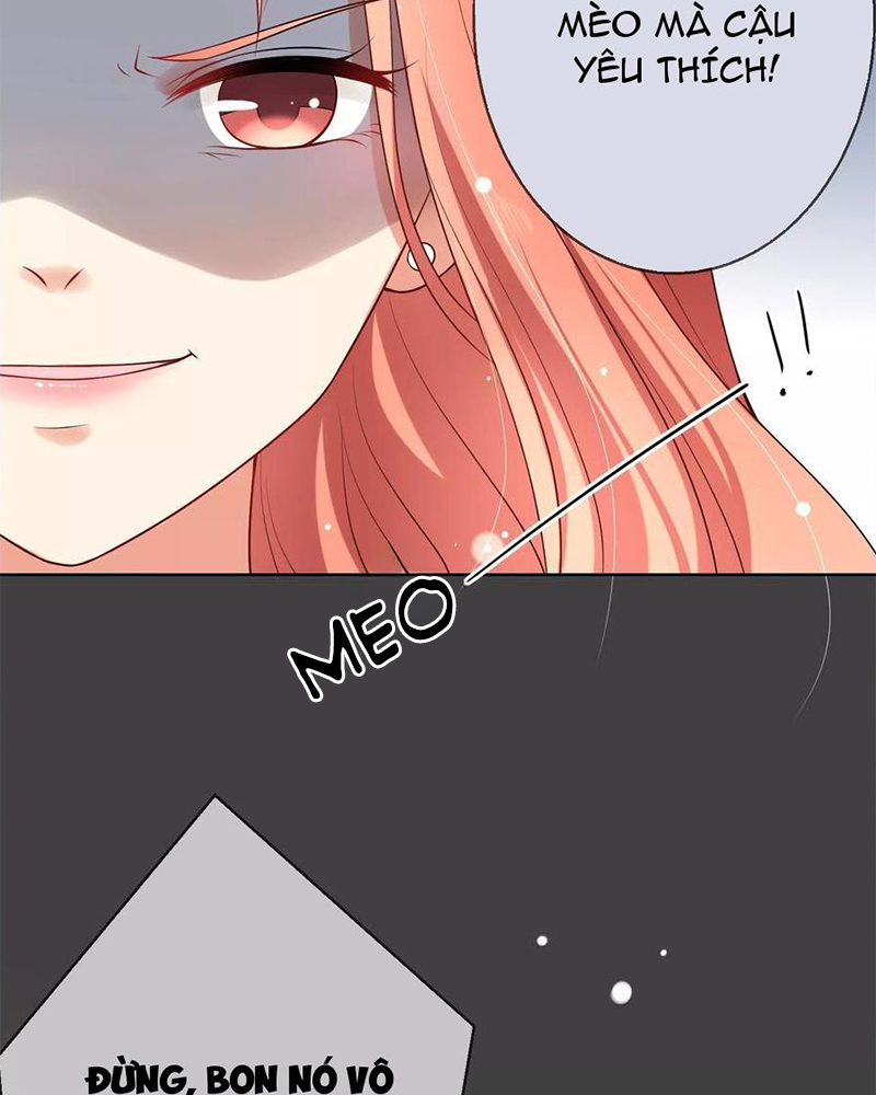 Bạn Cùng Bàn Của Tôi Nổi Tiếng Là Mèo Chapter 7 - Trang 2