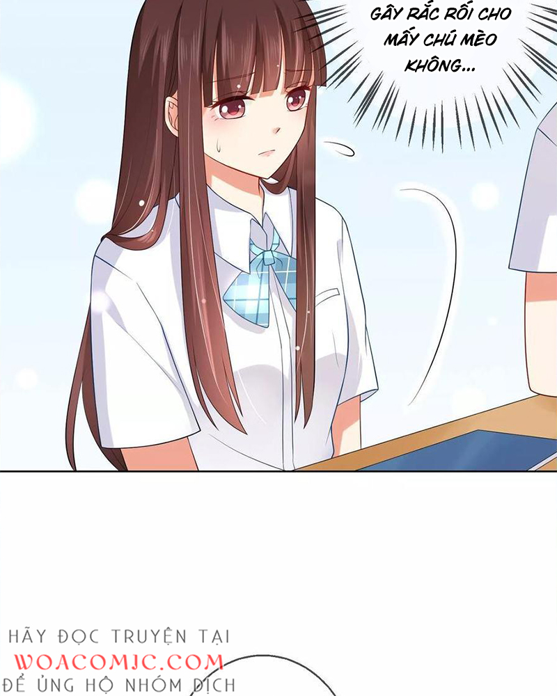 Bạn Cùng Bàn Của Tôi Nổi Tiếng Là Mèo Chapter 8 - Trang 2