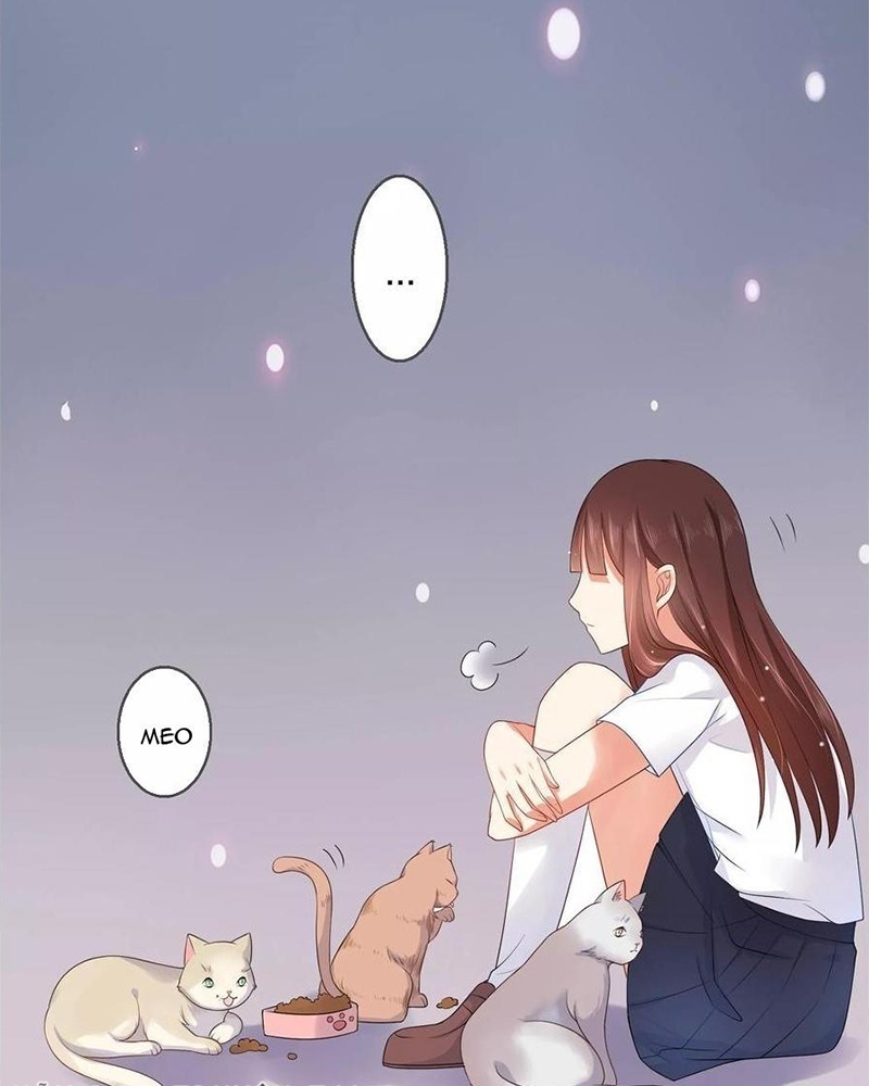 Bạn Cùng Bàn Của Tôi Nổi Tiếng Là Mèo Chapter 8 - Trang 2