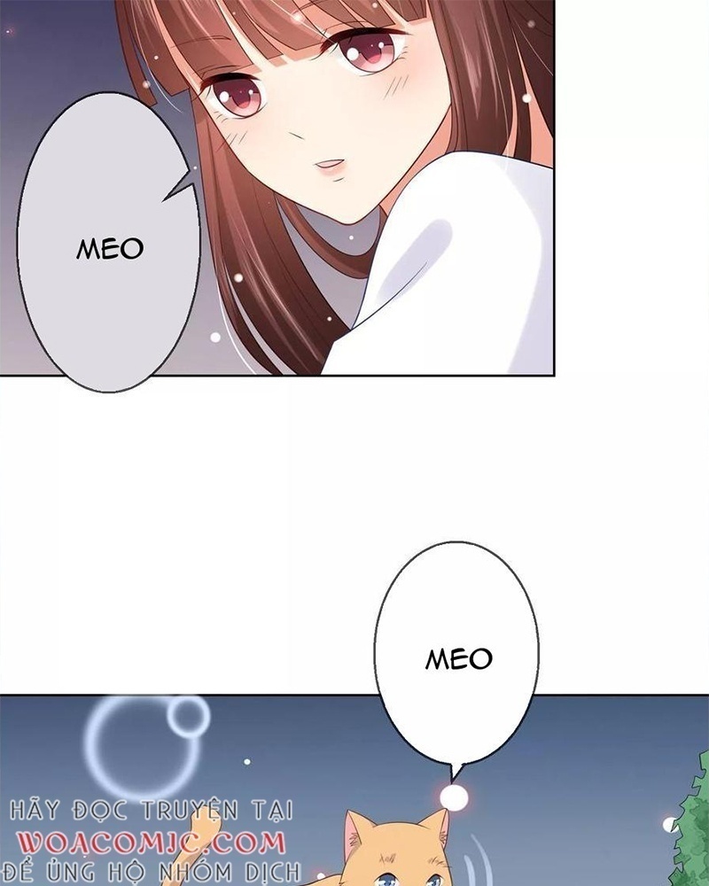 Bạn Cùng Bàn Của Tôi Nổi Tiếng Là Mèo Chapter 8 - Trang 2