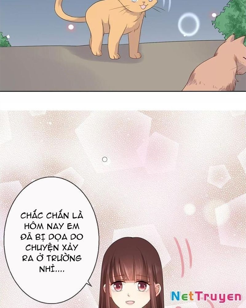 Bạn Cùng Bàn Của Tôi Nổi Tiếng Là Mèo Chapter 8 - Trang 2