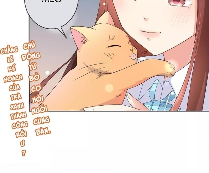 Bạn Cùng Bàn Của Tôi Nổi Tiếng Là Mèo Chapter 8 - Trang 2