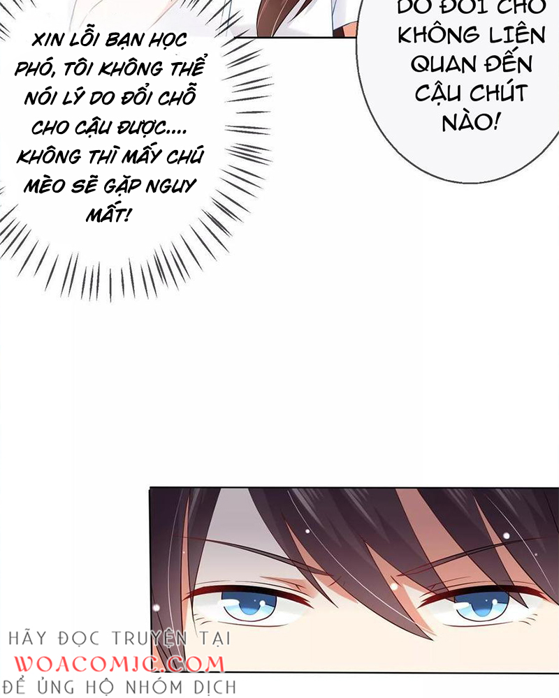 Bạn Cùng Bàn Của Tôi Nổi Tiếng Là Mèo Chapter 8 - Trang 2