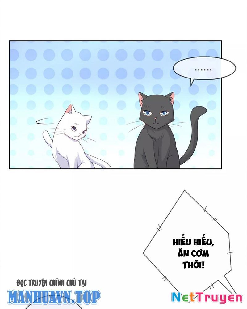 Bạn Cùng Bàn Của Tôi Nổi Tiếng Là Mèo Chapter 9 - Trang 2