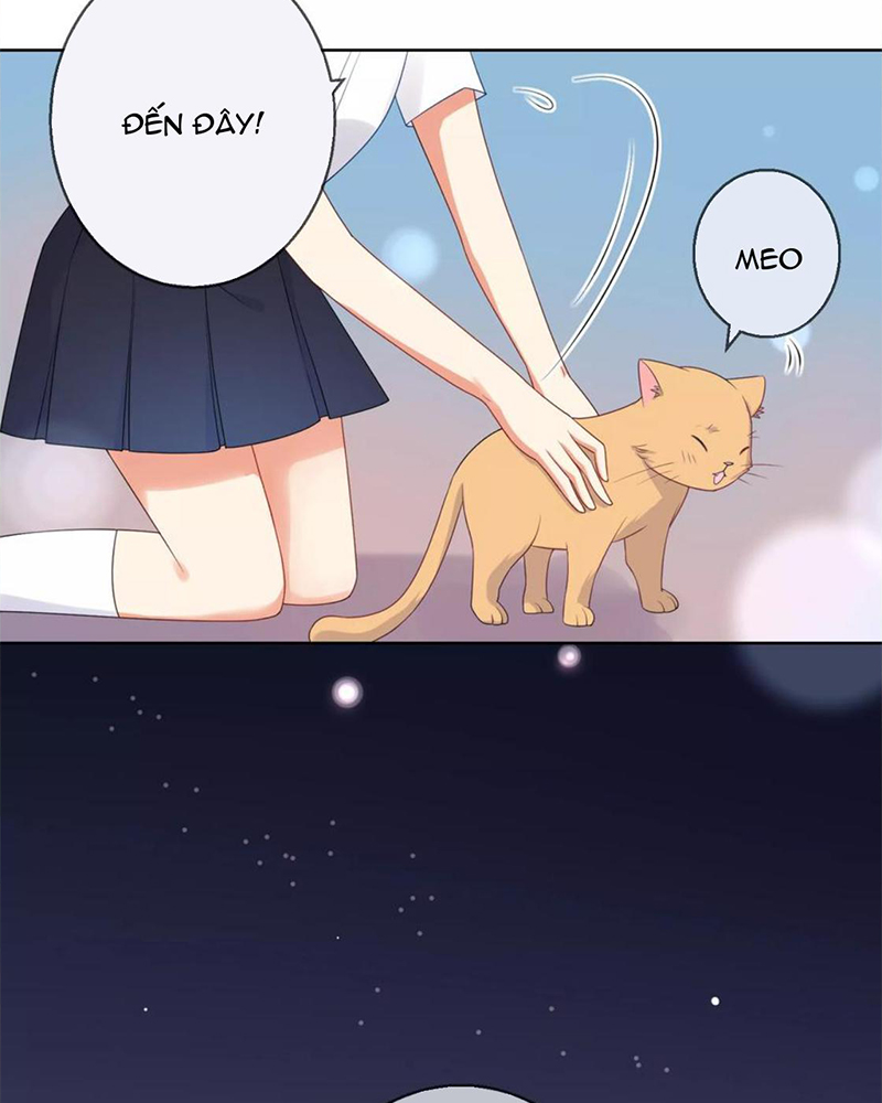 Bạn Cùng Bàn Của Tôi Nổi Tiếng Là Mèo Chapter 9 - Trang 2