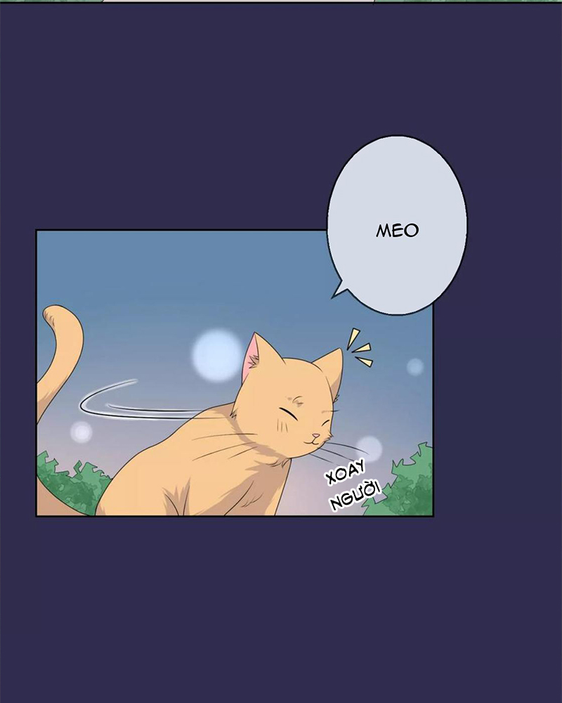 Bạn Cùng Bàn Của Tôi Nổi Tiếng Là Mèo Chapter 9 - Trang 2