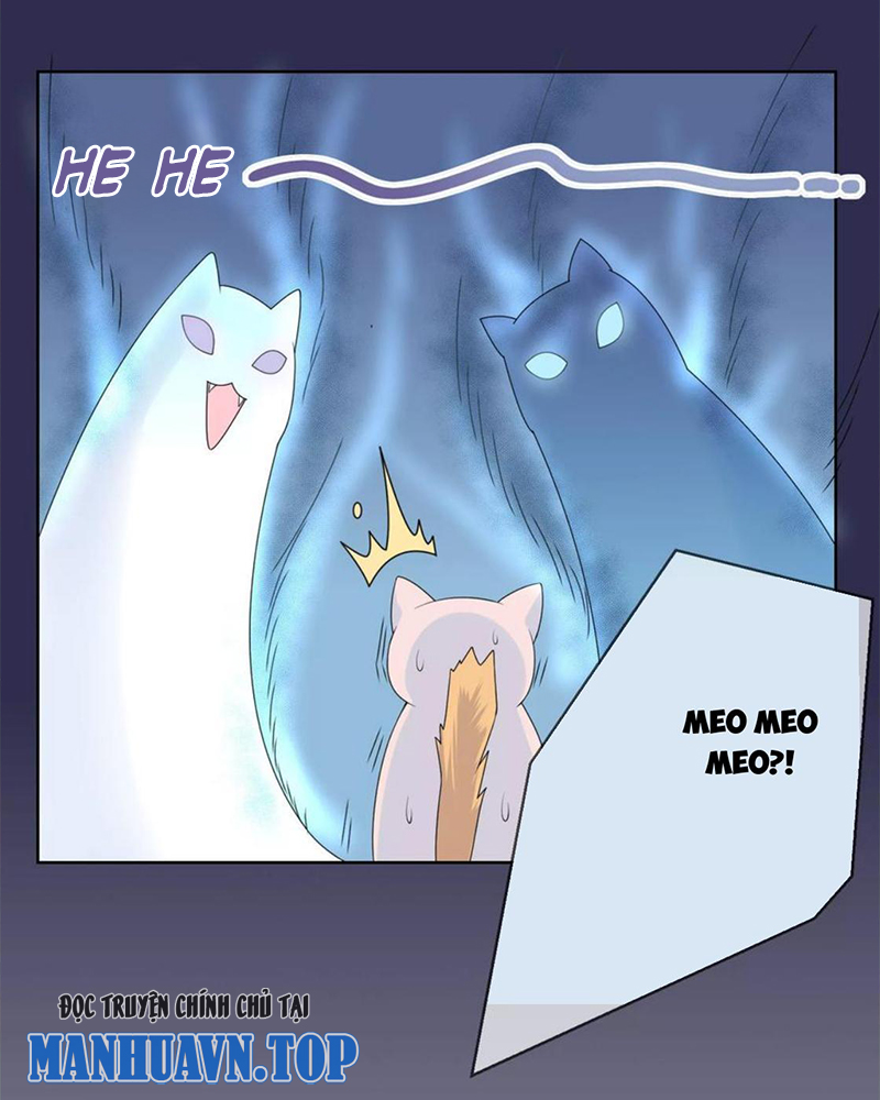 Bạn Cùng Bàn Của Tôi Nổi Tiếng Là Mèo Chapter 9 - Trang 2