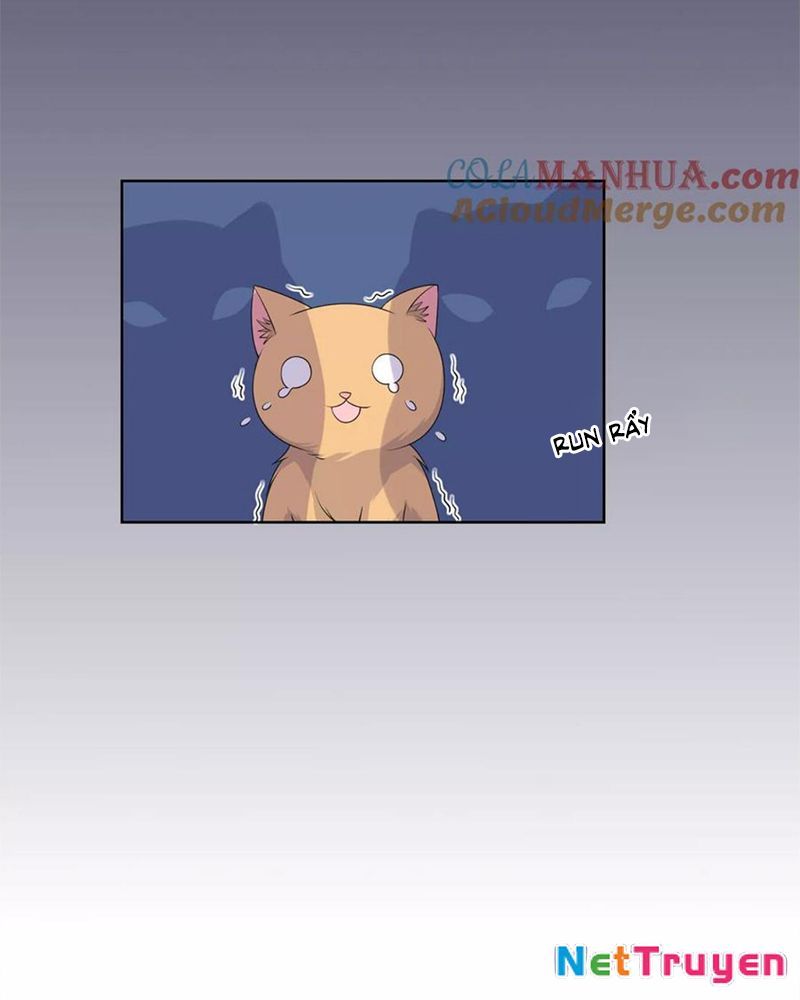 Bạn Cùng Bàn Của Tôi Nổi Tiếng Là Mèo Chapter 9 - Trang 2