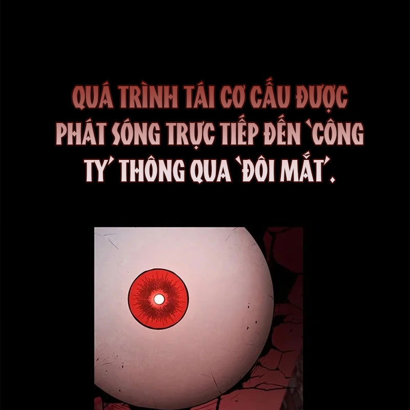 Chiến Lược Sinh Tồn Sau Cải Cách Chapter 19 - Trang 2