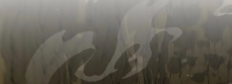 Thức Tỉnh Đầu Bếp Hậu Tận Thế Chapter 36 - Trang 2