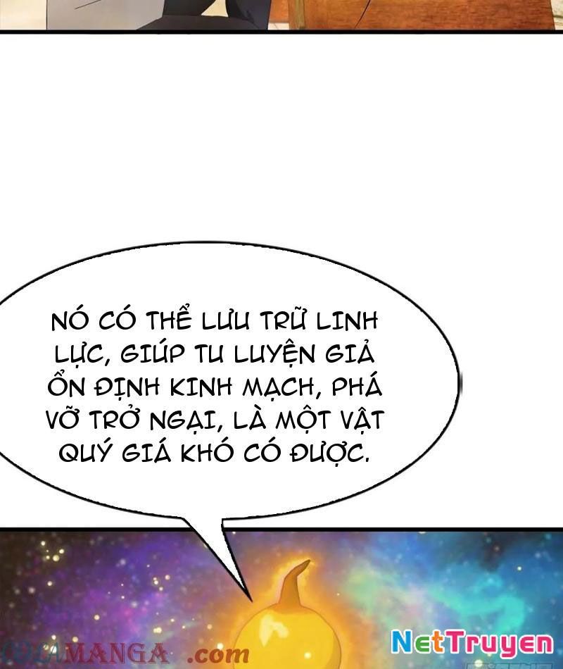 Đô Thị Thánh Thủ: Ta Là Y Võ Đỉnh Phong Chapter 98 - Trang 2