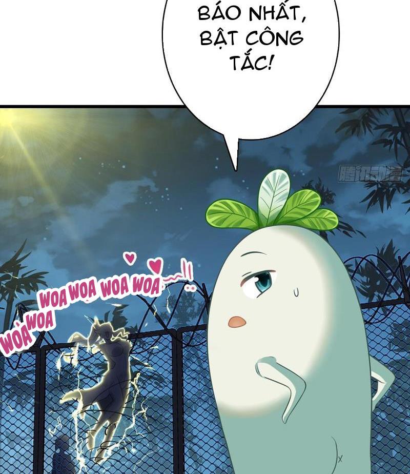 Đừng Xem Thường Một Củ Cải Chapter 18 - Trang 2