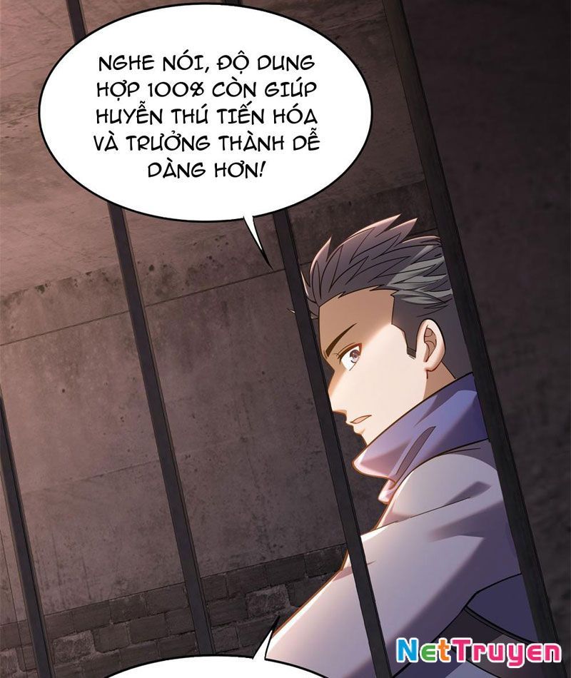 Huyễn Thú Của Ta Có Thể Tiến Hóa Vô Hạn Chapter 5 - Trang 3