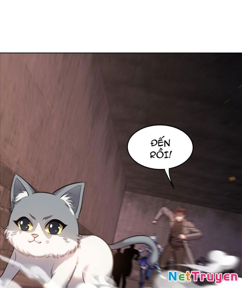 Huyễn Thú Của Ta Có Thể Tiến Hóa Vô Hạn Chapter 5 - Trang 3