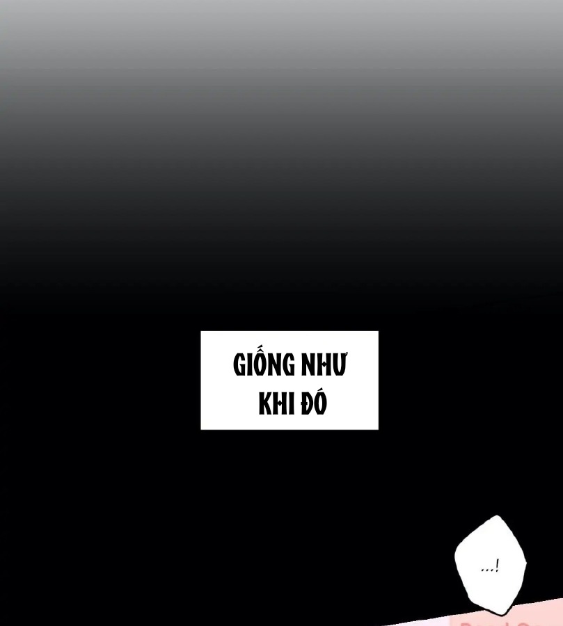 Liên Minh Bí Mật Chapter 9 - Trang 2