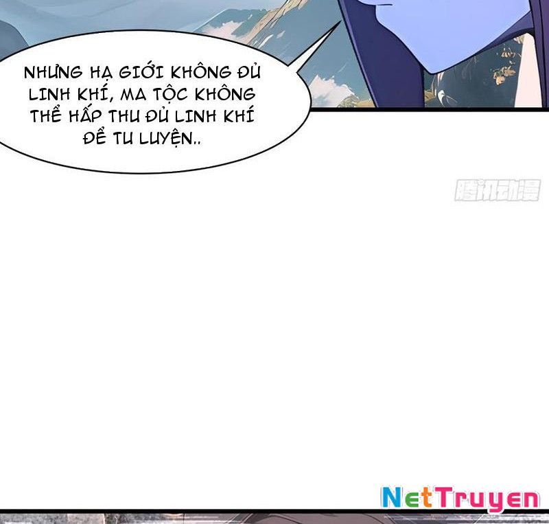 Phu Nhân Nhà Ta Đến Từ Địa Phủ Ngàn Năm Chapter 147 - Trang 3
