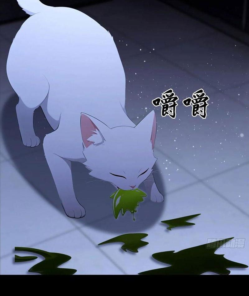 Ảo Ma! Ta Mở Lớp Huấn Luyện Nữ Đế! Chapter 95 - Trang 3
