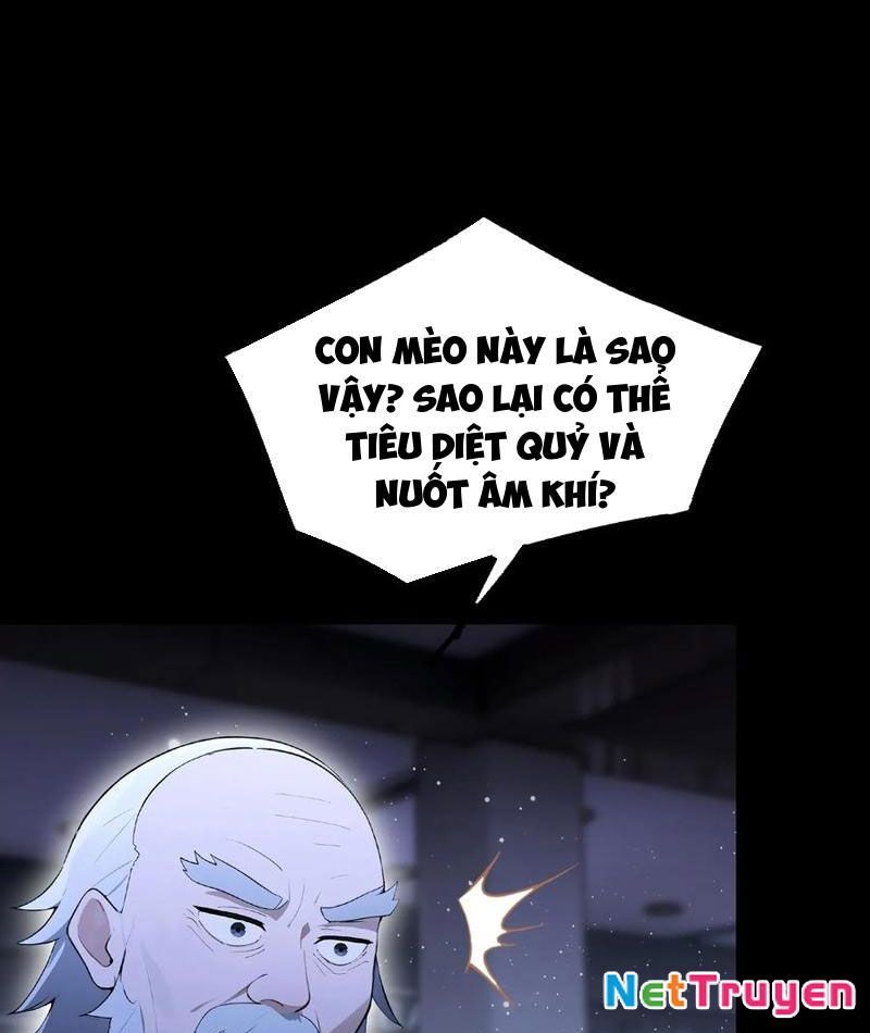 Ảo Ma! Ta Mở Lớp Huấn Luyện Nữ Đế! Chapter 95 - Trang 3