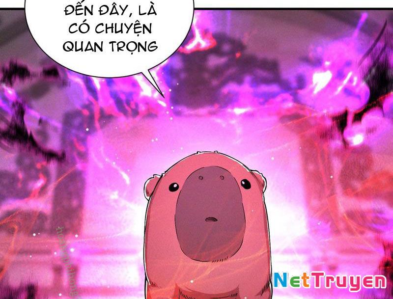 Ta Thăng Cấp Cùng Tai Ách Chapter 10 - Trang 3