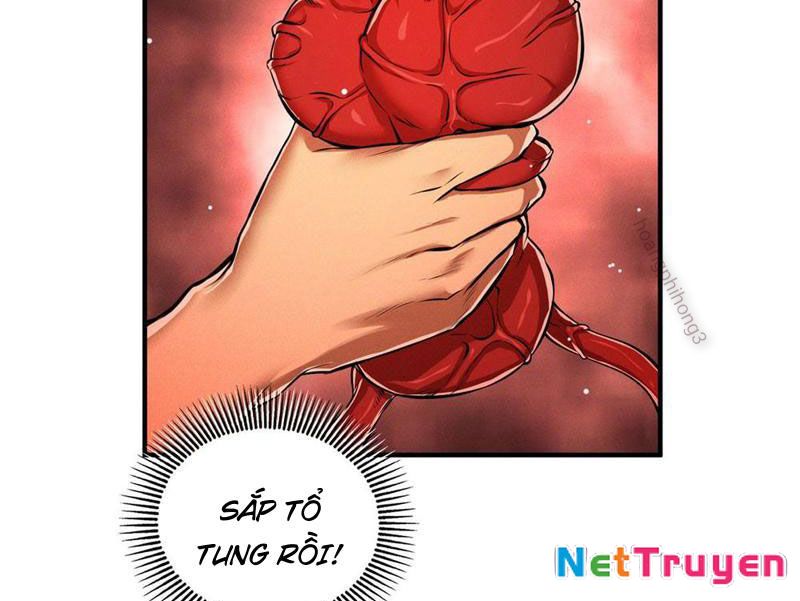 Ta Thăng Cấp Cùng Tai Ách Chapter 9 - Trang 2