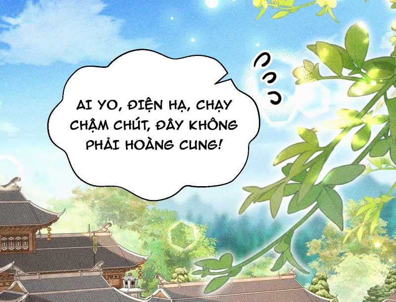 Ta Thực Sự Không Có Hứng Tu Tiên Chapter 51 - Trang 3