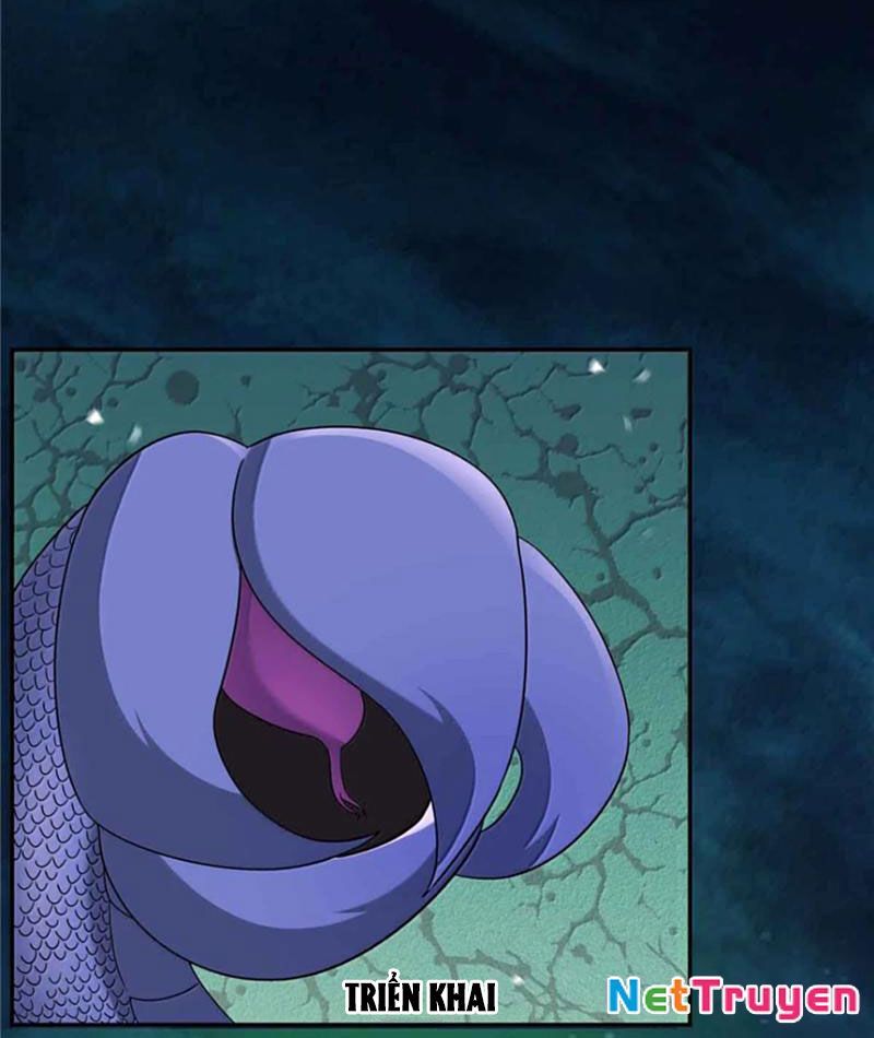 Tân Sủng Mị Chapter 70 - Trang 2