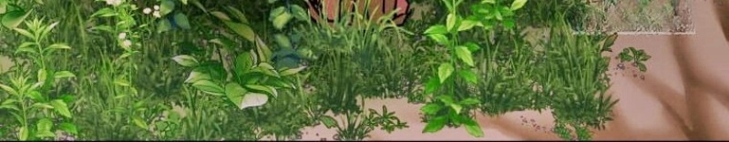 Thiên Quang Minh Nguyệt Chapter 8 - Trang 3