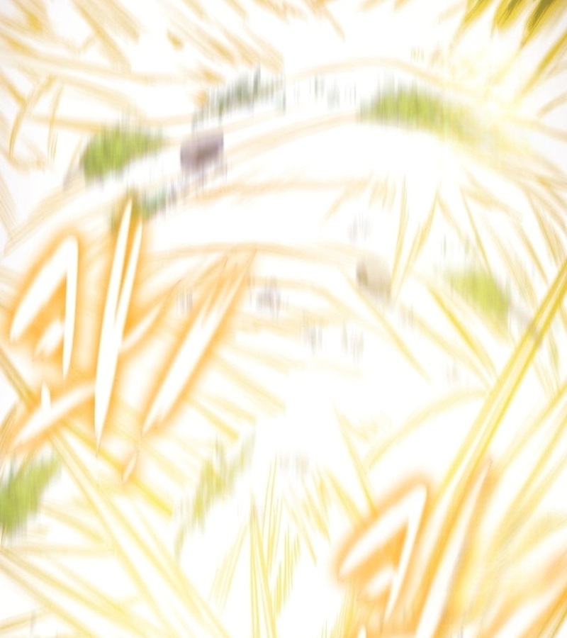 Thiên Quang Minh Nguyệt Chapter 8 - Trang 3
